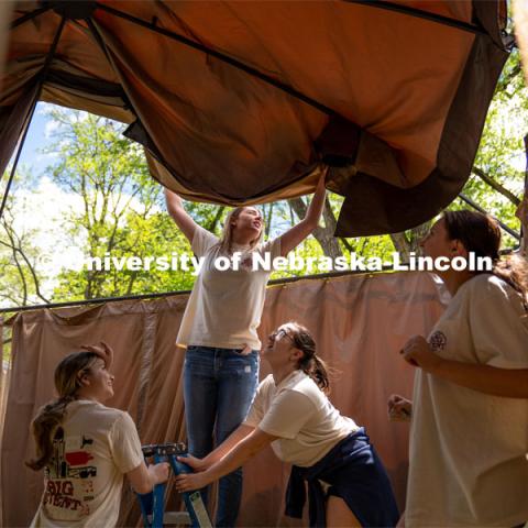 Members of Tri Delta hold a ladder steady while Rachel Nelson pulls the roof of a pergola over the top during the Big Event. May 4, 2024. Photo by Kirk Rangel for University Communication.